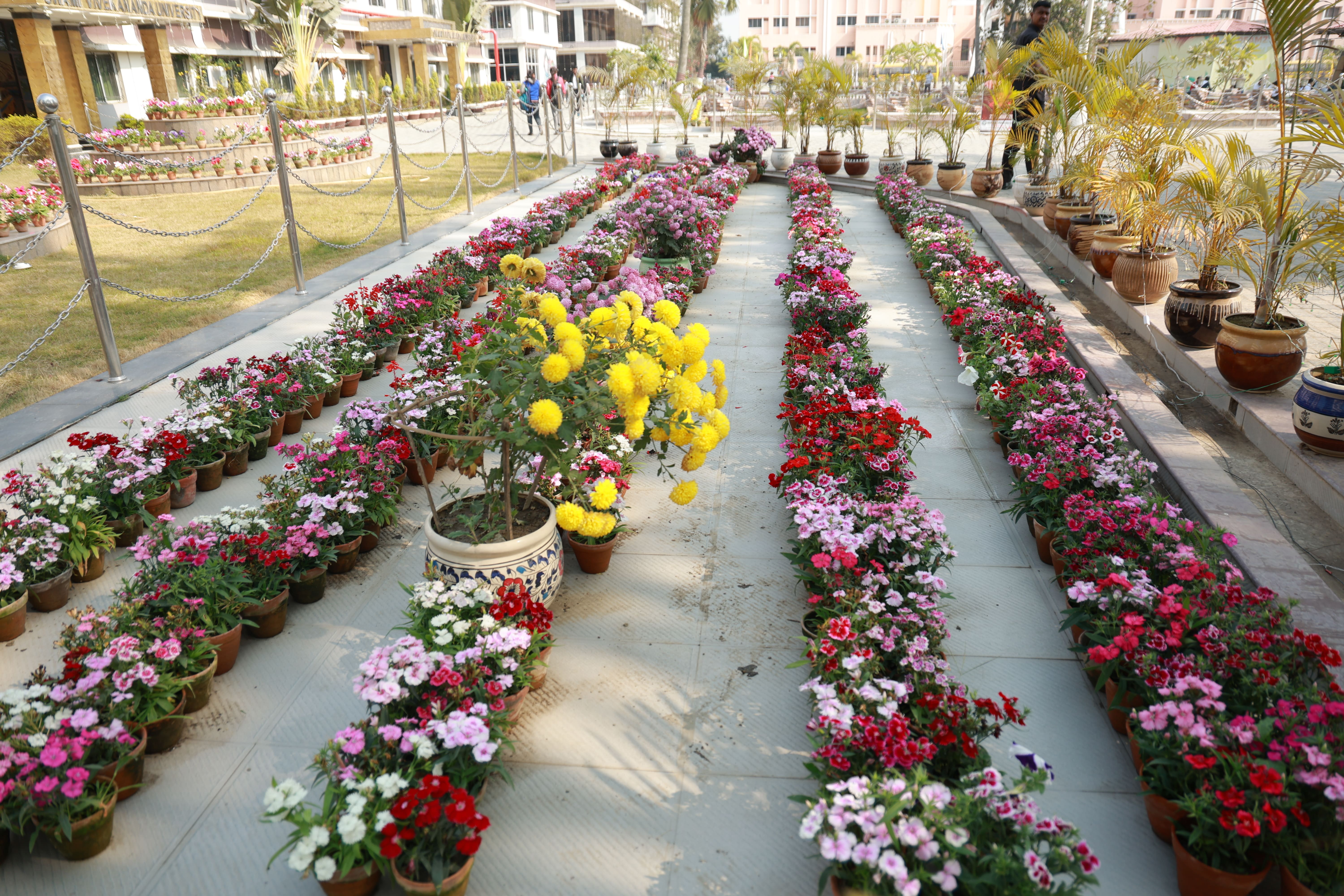 Campus