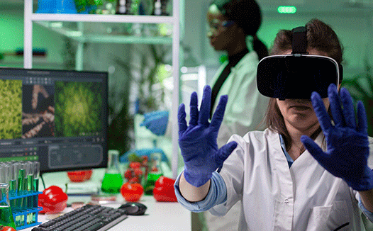 Department Of Biotechnology