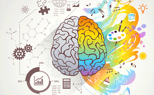 Department Of Psychology