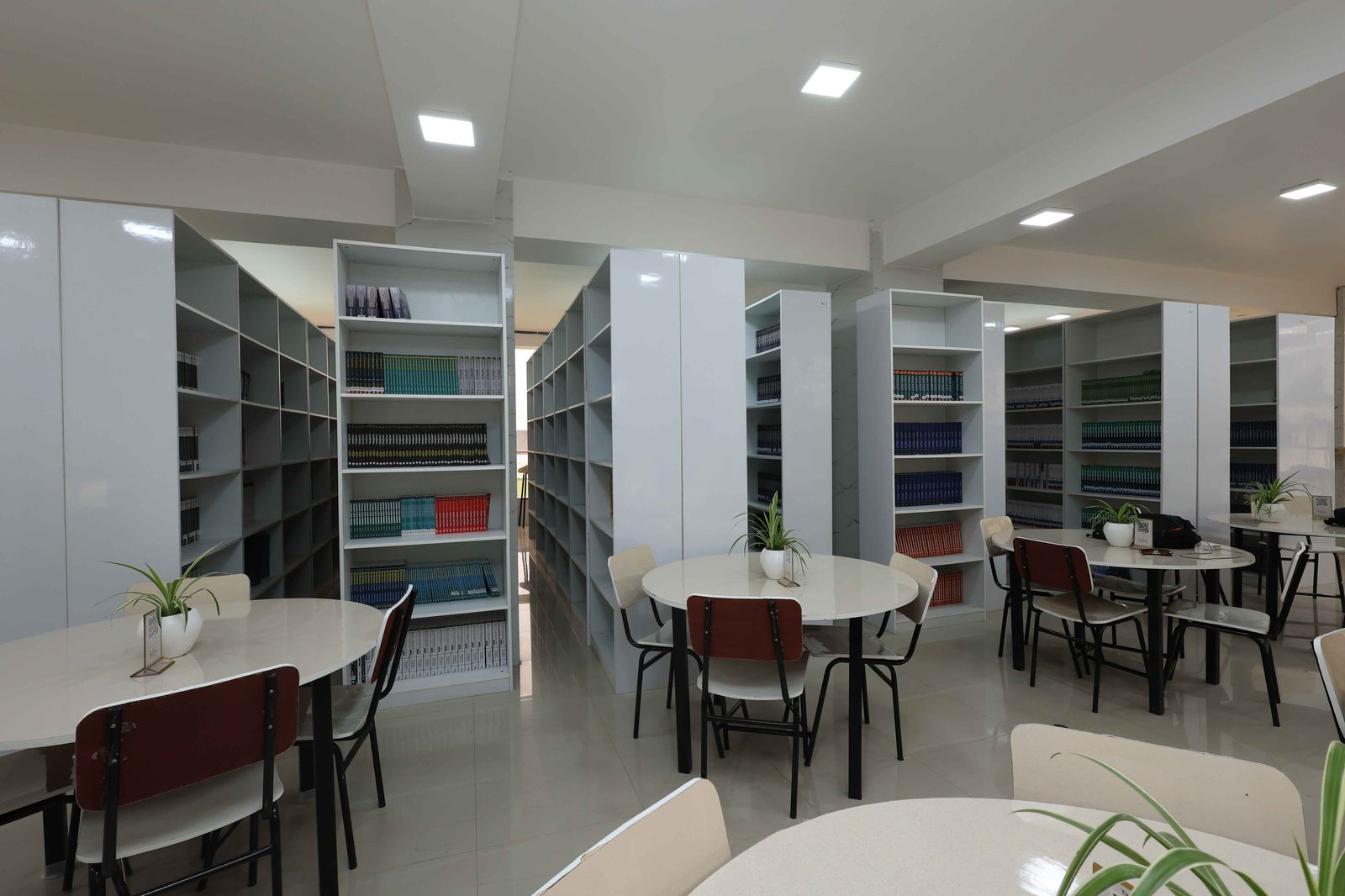 The university library