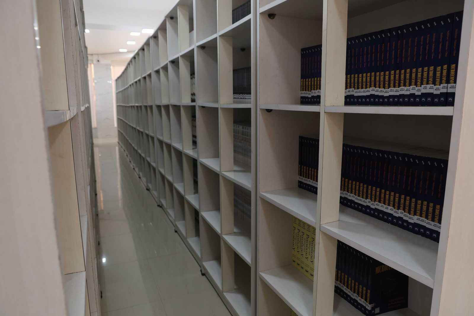 The university library